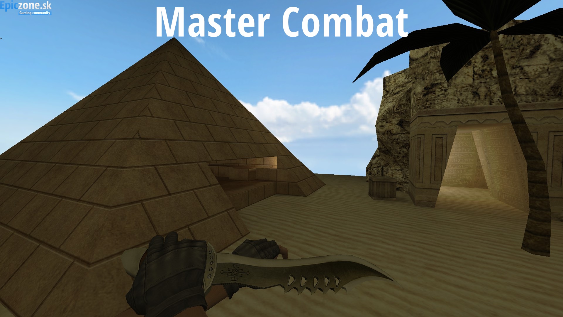 Master Combat
